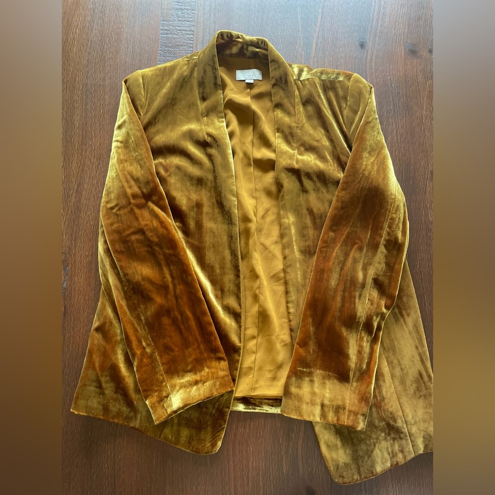 Retro loft velvet blazer